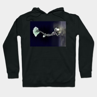 mermaid at aquarium Hoodie